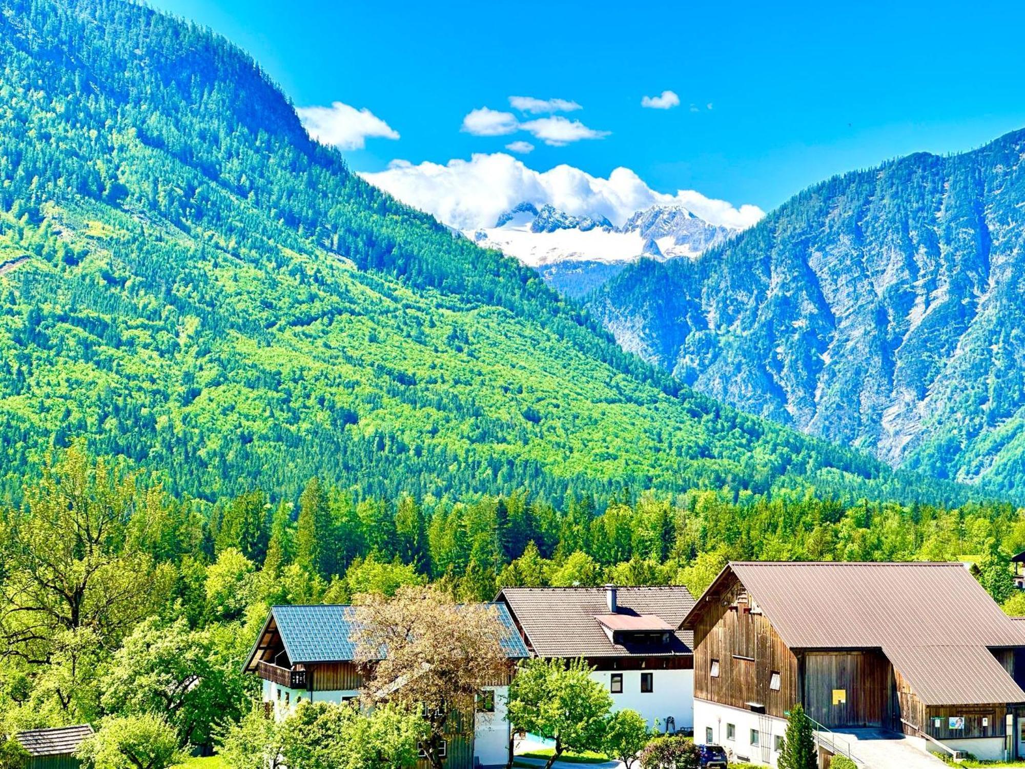 Apartment Alpenzeit Mit Just Private Terrasse (adults Only) Bad Aussee